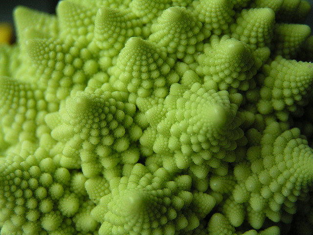 Fractal cauliflower by Tristan Ferne (flikr.com)